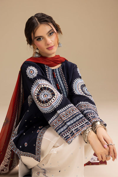 RR 610-3 Piece - 3 Piece Embroidered Dhanak Fabric with Printed Wool Shawl
