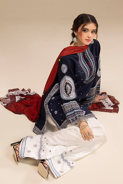 RR 610-3 Piece - 3 Piece Embroidered Dhanak Fabric with Printed Wool Shawl